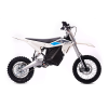 ELECTRIC & CO RTR LITE
