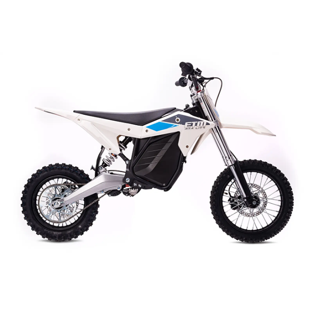 ELECTRIC & CO RTR LITE