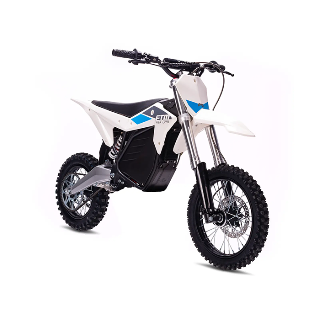 ELECTRIC & CO RTR LITE
