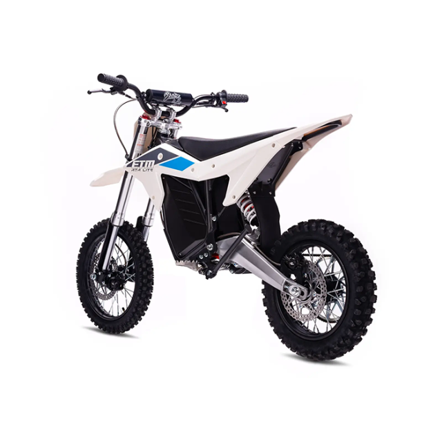 ELECTRIC & CO RTR LITE