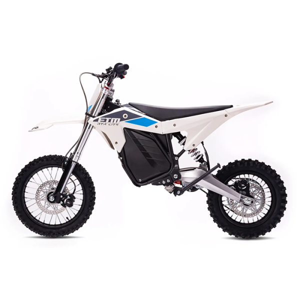 ELECTRIC & CO RTR LITE